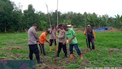 IMG-20260515-WA0041