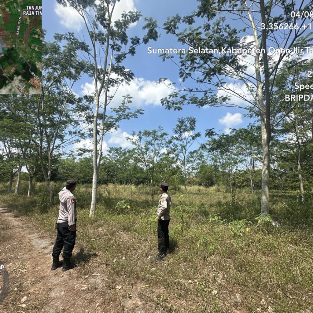 IMG-20260805-WA0039